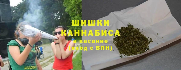 крисы Баксан