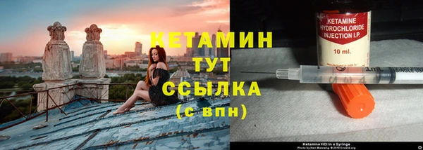 крисы Баксан
