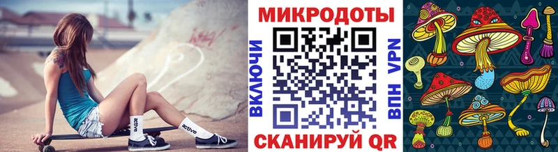 kraken как войти Реутов Галлюциногенные грибы мицелий